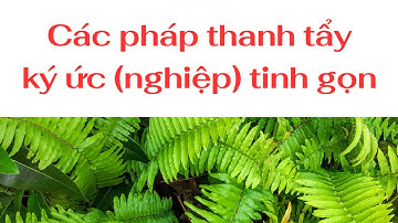 Các Pháp Thanh Tẩy Ký Ức (Nghiệp) Tinh Gọn