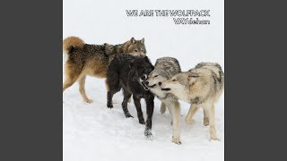 We Are the Wolfpack News
