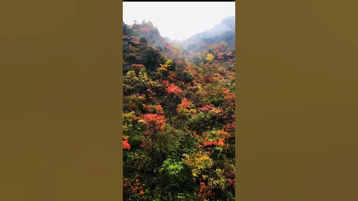 Focus on the mountains and rivers, let us face the sunshine - DayDayNews