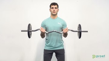 351. Curl de biceps con barra en z de pie