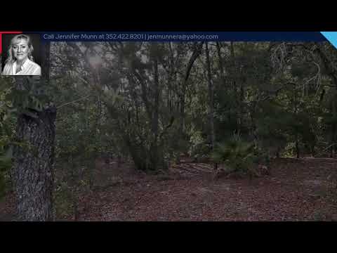 1299 W Brandywine Street, Lecanto, FL home video tour