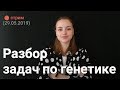 Разбор задач по генетике