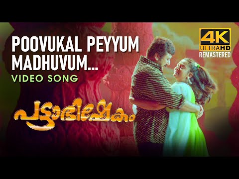 Poovukal Peyyum Video Song | Pattabhishekam 4K | Jayaram | Berny-Ignatius | K J Yesudas | Sujatha