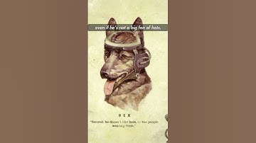 Top 5 Fallout Dogs #shorts