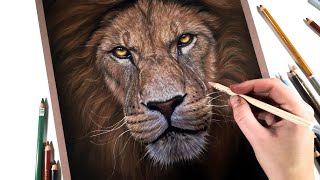 How to draw LION fur with PASTEL pencils - Which colors to choose? | REAL TIME screenshot 1