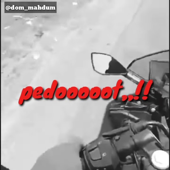 Story wa Instagram ( bajingan asu )