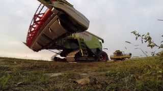 BIG RICE HARVEST: LEXION 760 & R750 - NEW HOLLAND CX8040 | Italy 2014