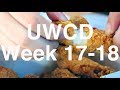 Vlog 14 uwcd week 1718