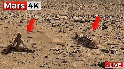 Perseverance Rover Stunning 360° Footage | NASA Mars 4K Video | Mars In 4K