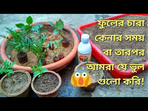 ভিডিও: চারা গজানোর সময় ভুল