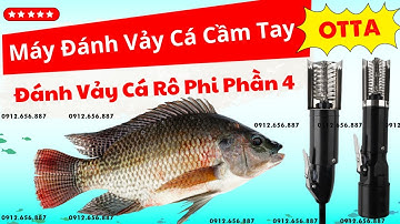 Máy đánh vảy cá cầm tay OTTA đánh vảy cá rô phi cực kỳ đơn giản Phần 4, máy cạo vảy cá