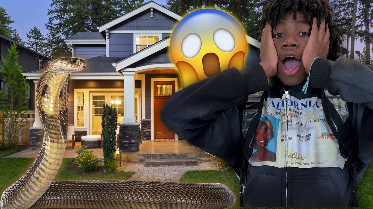 THERE'S A SNAKE IN MY HOUSE - YouTube