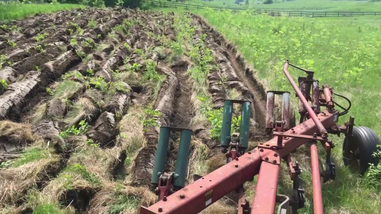 plowing new hay ground
