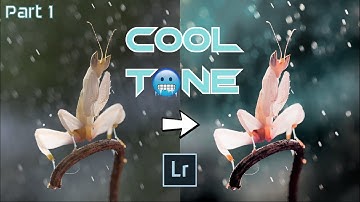 EDITING COOL TONE MACRO PHOTOGRAPHY ON LIGHTROOM TUTORIAL PART 1