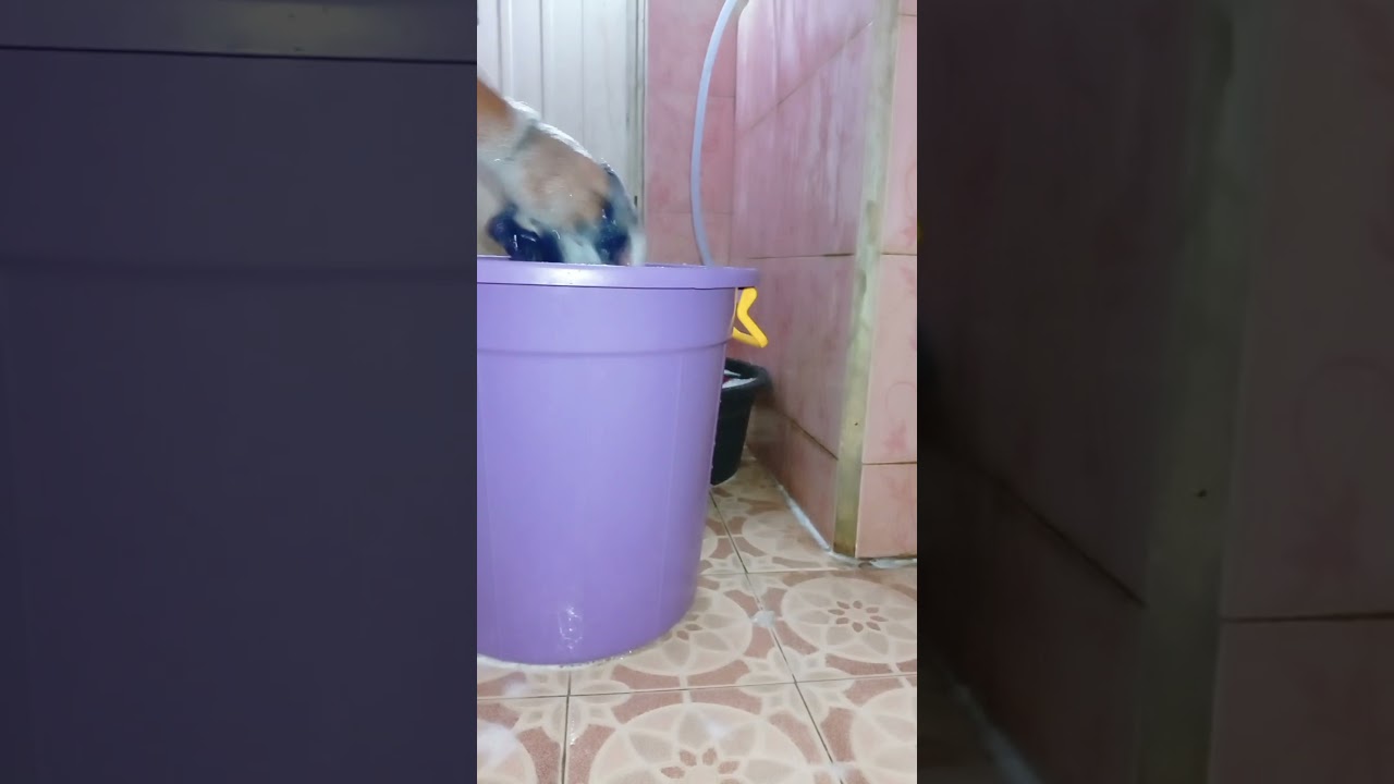 semangat bersih-bersih semua 