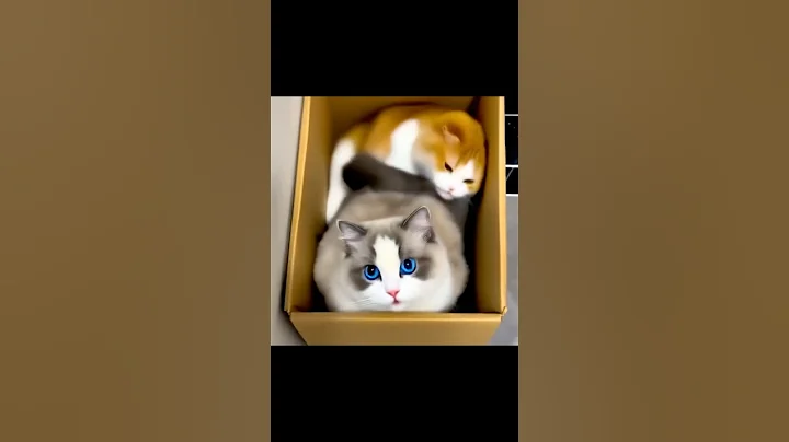 Video 10676021: cats compilation cute, funny cat compilation, cat cleaning kittens, mother cat, cute kitten enjoying, cute cat family, cat mother baby, cat first funny