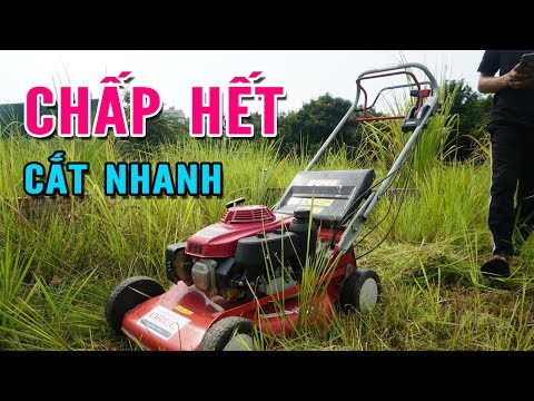 Video: Máy cắt cỏ PTO hoạt động như thế nào?