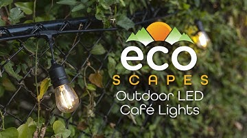 81100: EcoScapes Outdoor LED Cafe Lights - Installation