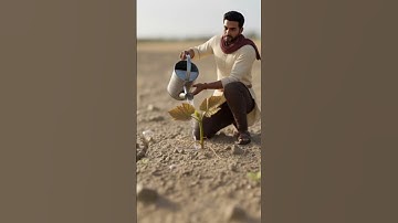 The farmer saved the grape tree from drying up 😭 #ai #tree #save #watering