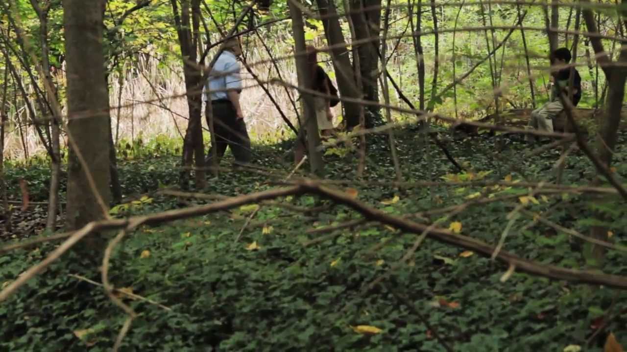 Cleanland the Movie -Teaser Trailer 2 - YouTube