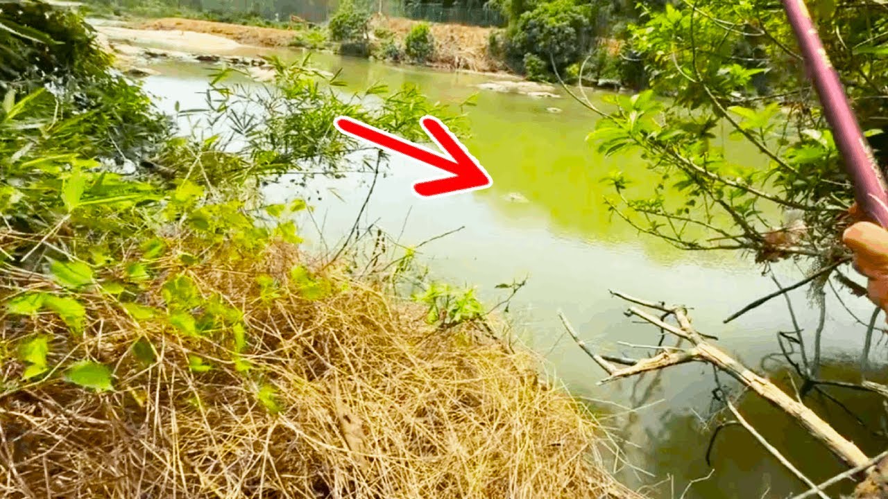 一米深的小河没想到里面的鱼这么大，太惊喜了 #钓鱼 #钓鱼人 #钓鱼的乐趣只有钓鱼人懂