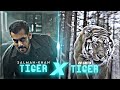 Tiger x tiger   x  edit  salman khan  rb editix 