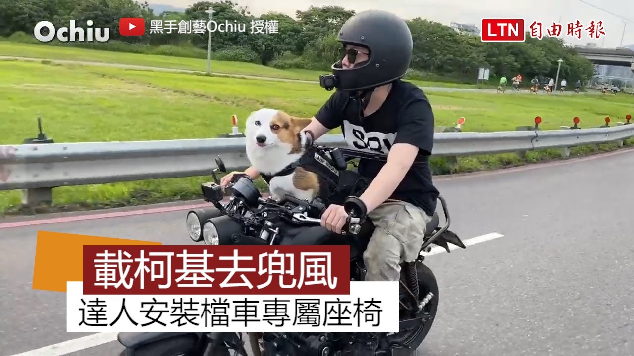 騎檔車也能載狗狗去兜風改裝專屬座椅讓呆萌柯基感受乘風快感 Youtube 騎檔車也能載狗狗去兜風改裝專屬座椅讓呆萌柯基感受乘風快感 Youtube