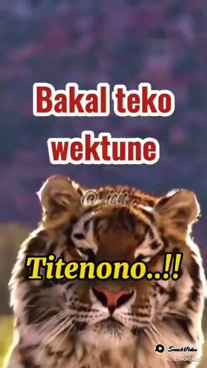 TITENONO