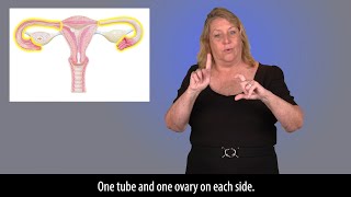 A Sign of the Times: A Complete Gynecological Exam for the Deaf Woman