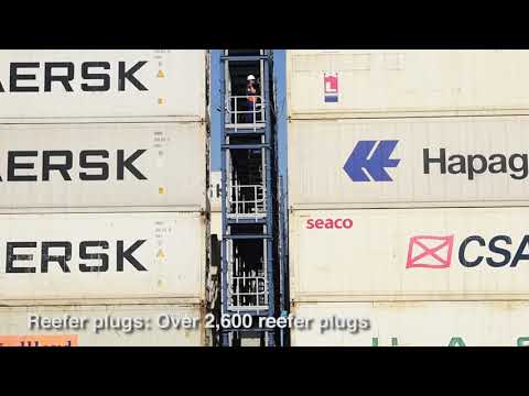 Reefer cargo services - Port of Cartagena