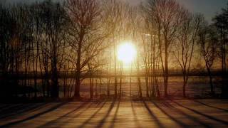 Orbital - One Perfect Sunrise (Phil Hartnoll Mix)