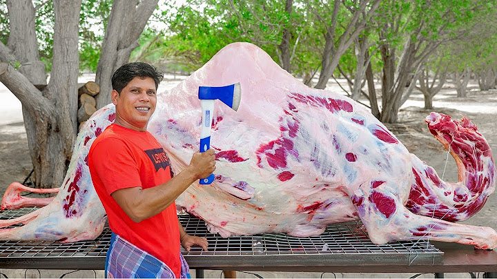 CAMEL ROAST | 300 Kg Whole Camel Roast Recipe | Cooking In Dubai Village