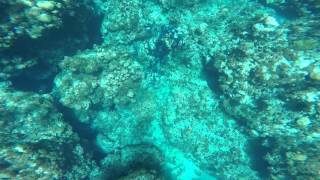 Edens Rock Grand Cayman