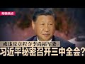 习近平秘密召开三中全会？赵安吉案急转直下，警方称非单纯车祸；中国人变穷，人均所得毛额29年来首度倒退；红杉中国创办人沈南鹏取得新加坡居留权∣#明镜焦点（20240301）