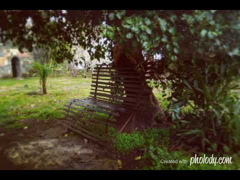 დამწყები და პროფესიონალი ფოტოგრაფების ნამუშევრები