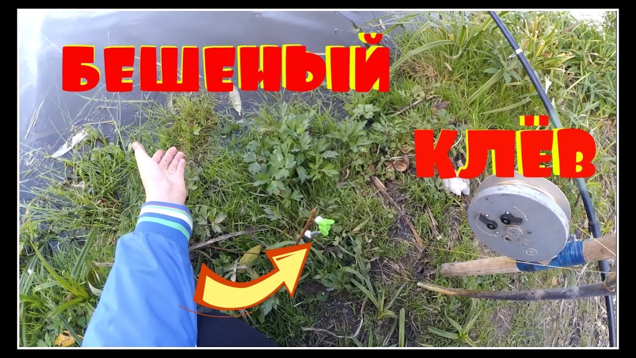 РЫБАЛКА на РЕЗИНКУ !!! Как же хорошо когда клюёт)