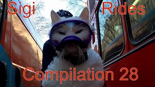 Sigi Rides Compilation 28