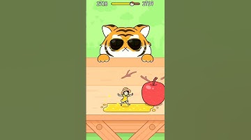 Hide and Seek: Cat Escape! Level 2719 #viral #shorts