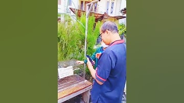 Pi Network Buy and selling | #PiNetwork #cryptocurrency #crypto