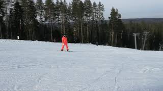 Sappee SKI(1)
