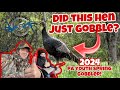 Opening day 2024 pa youth spring gobbler our failure was a success