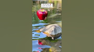 Why Do Apples Float? The Science Will Surprise You! #reels #science #apple #viralshorts