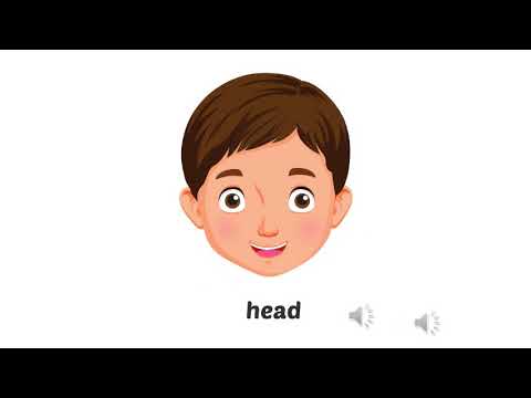 Tiếng Anh lớp 1 : Theme 4