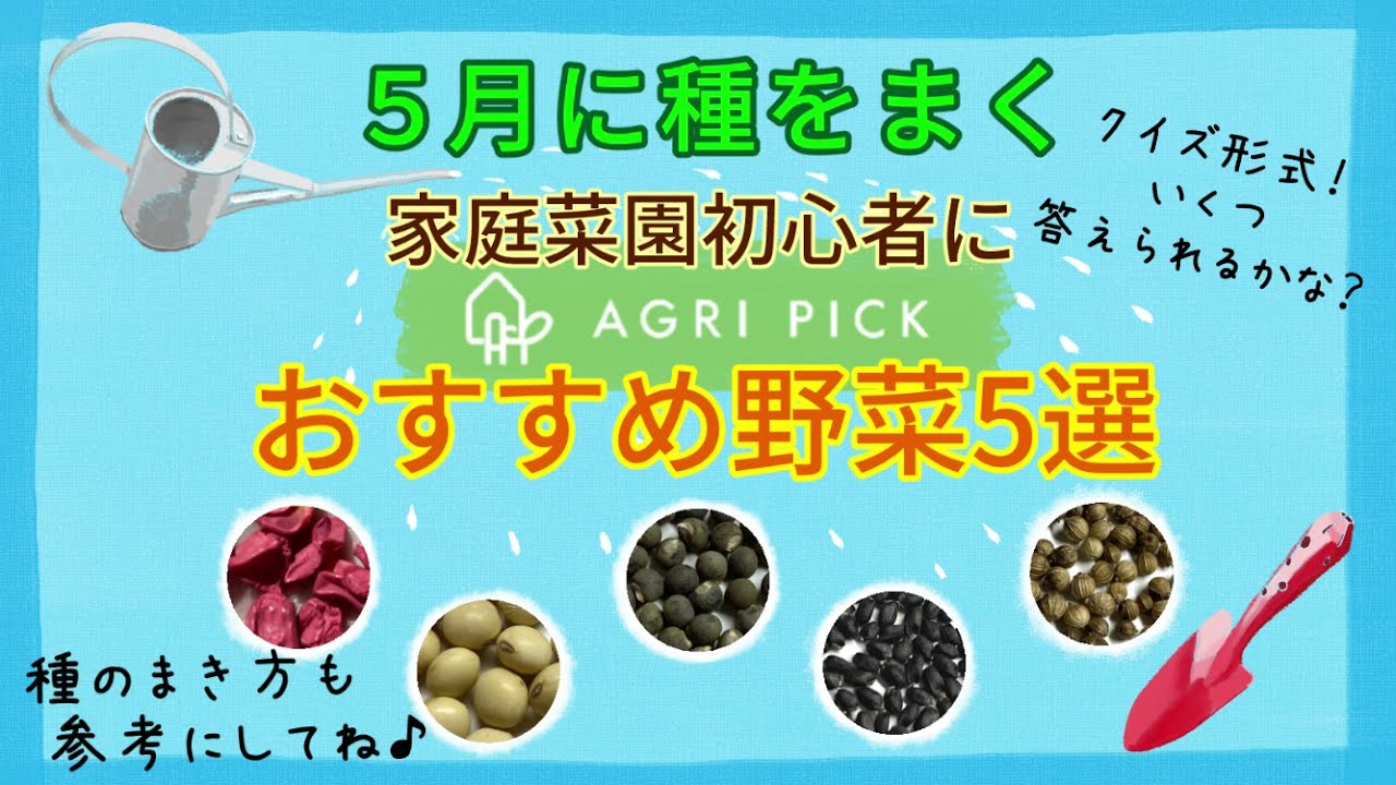 家庭菜園のプロ監修 5月に植えるおすすめ野菜9選 育てやすい夏野菜が集合 農業 ガーデニング 園芸 家庭菜園マガジン Agri Pick