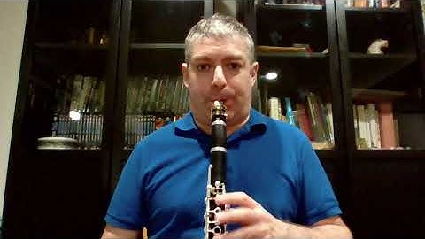 Multiple Articulation - Extended Techniques for Clarinet and Bass Clarinet