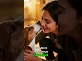 Rescue Dog Finally Understands Home — Beautiful Moment 🐾