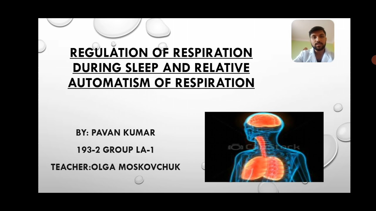 regulation of respiration during sleep - YouTube
