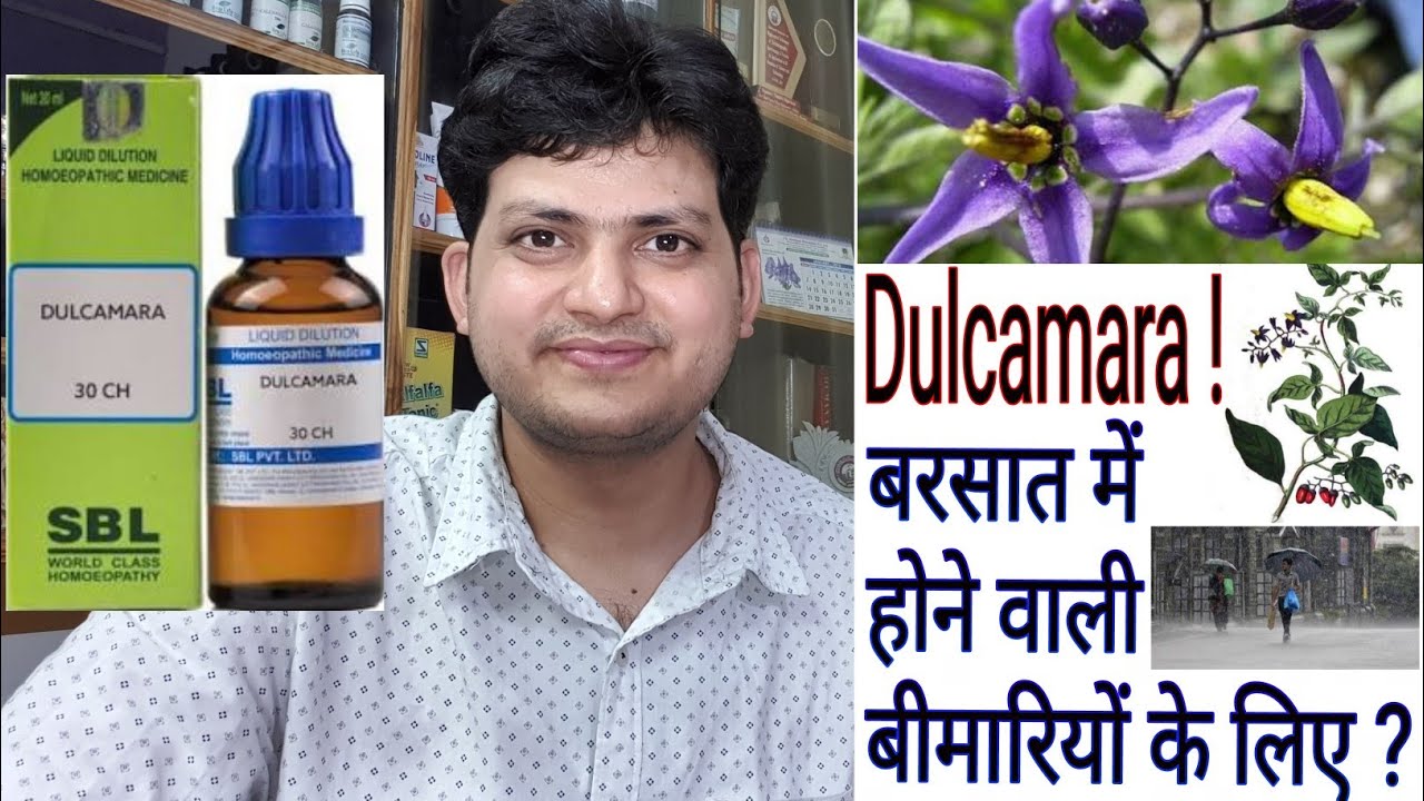 Dulcamara Homeopathic Medicine Dulcamara For Diseases Of Rainy Season Damp Weather Youtube