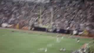 Skol Vikings- Sept 21 vs Carolina