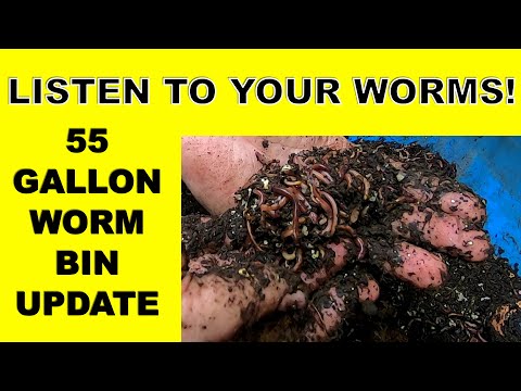 PEOPLE PLAN- WORMS LAUGH- WORM FARM LIFE